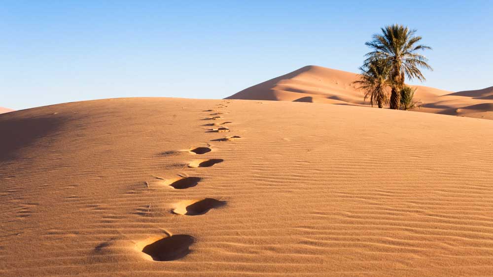 Medio Oriente tra guerre e nuovi equilibri